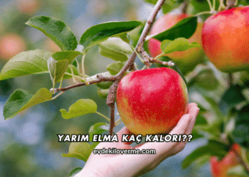 Yarım Elma Kaç Kalori?