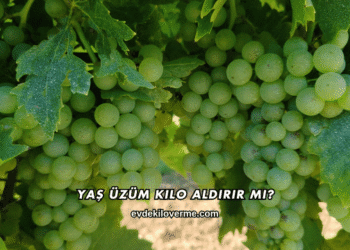 Yaş Üzüm Kilo Aldırır mı?