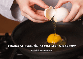 Yumurta Kabuğu Faydaları Nelerdir?