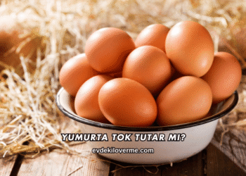 Yumurta Tok Tutar mı