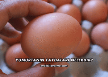 Yumurtanın Faydaları Nelerdir?