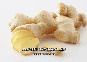 Zencefil Zayıflatır mı?