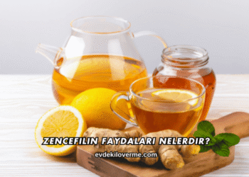 Zencefilin Faydaları Nelerdir?
