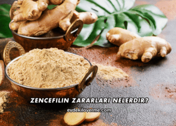Zencefilin Zararları Nelerdir?