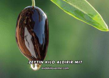 Zeytin Kilo Aldırır mı?