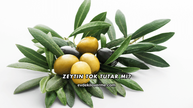 Zeytin Tok Tutar mı?
