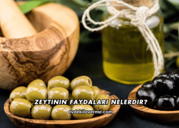 Zeytinin Faydaları Nelerdir?