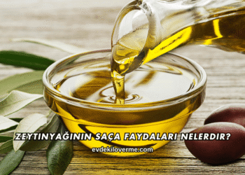 Zeytinyağının Saça Faydaları Nelerdir?